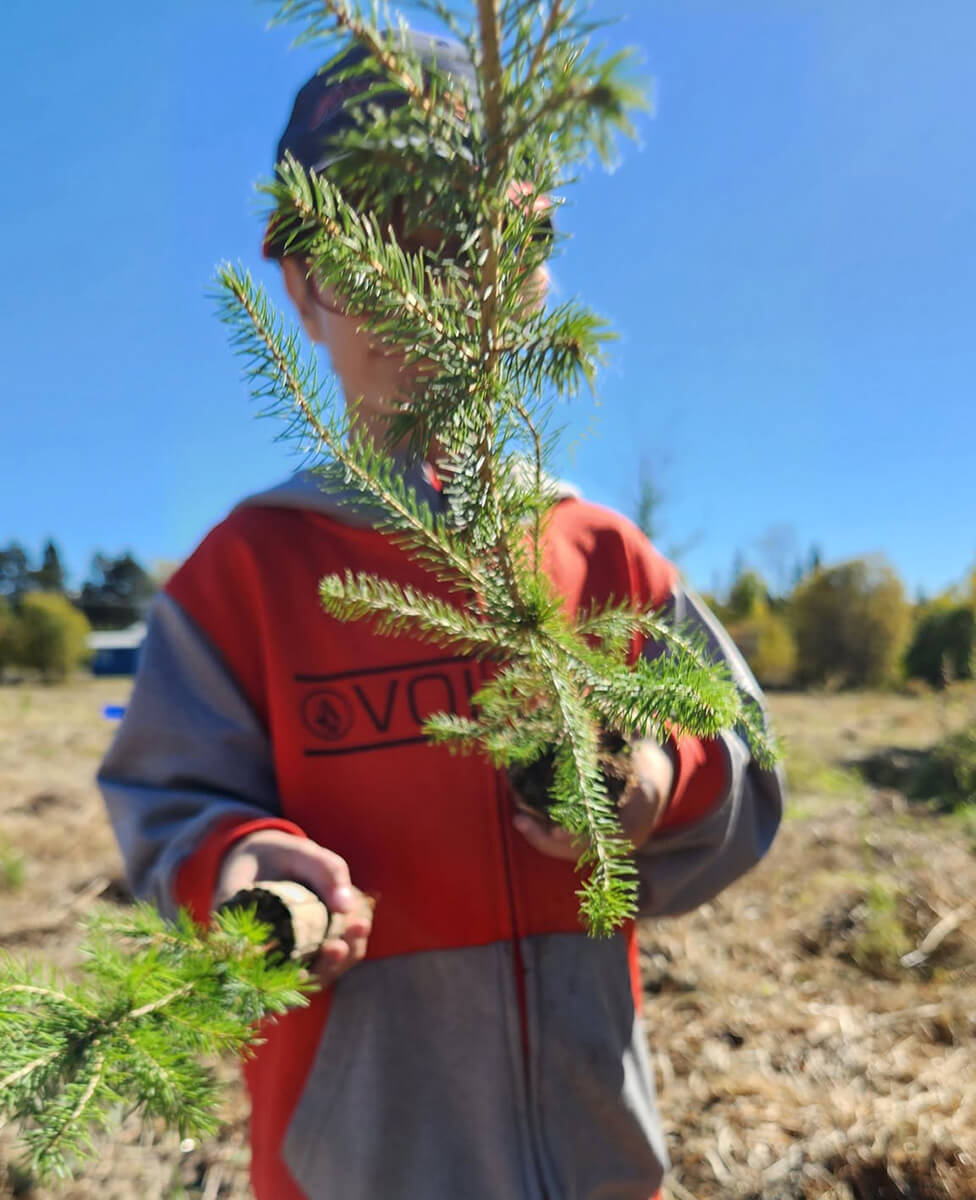 Plants forestiers et pépinière SARGIM