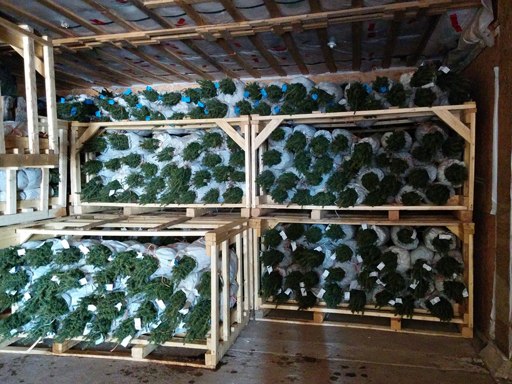 Pépinière et plants forestiers SARGIM
