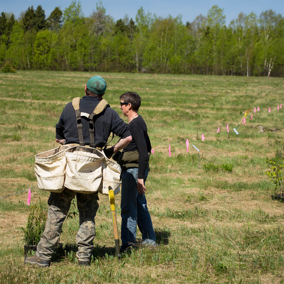 Deux travailleurs de SARGIM sur un terrain de plantation en Gaspésie